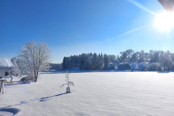 20231203_110341.jpg 