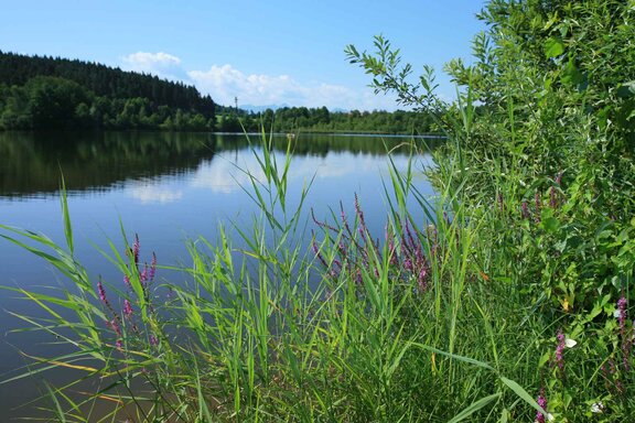 Naturerholungsort Rinser See 