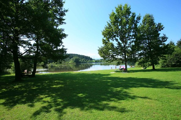 Rinser See Badestrand