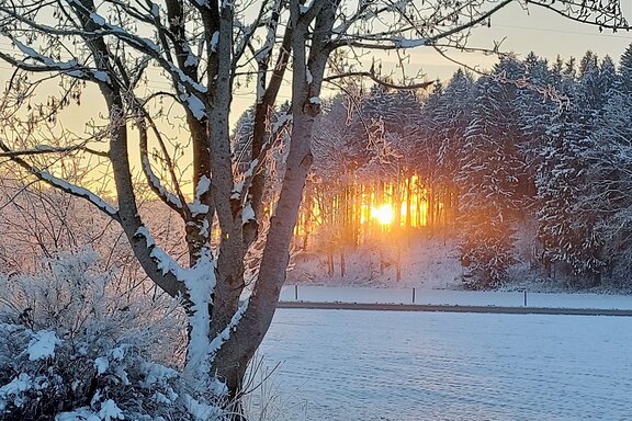 Sonnenaufgang_im_Winter.jpg 