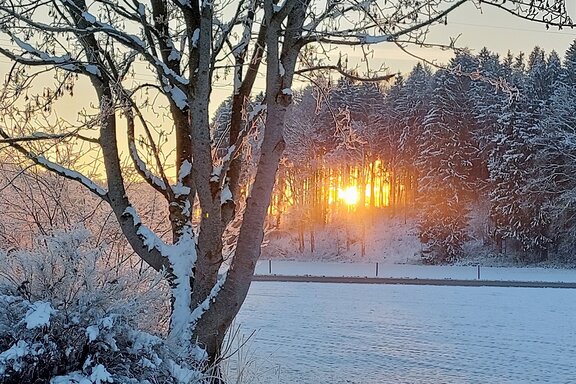 Sonnenaufgang_im_Winter.jpg 