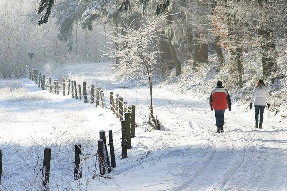 Winter Rinser See Hof