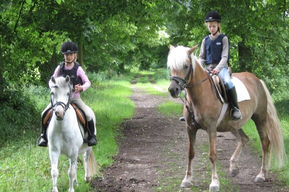 Reiten am Nachbarhof