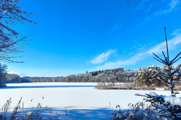 Seezugang_im_Winter.jpg 